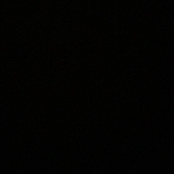 Meet your Posher, Peyton - Picture 1 of 1